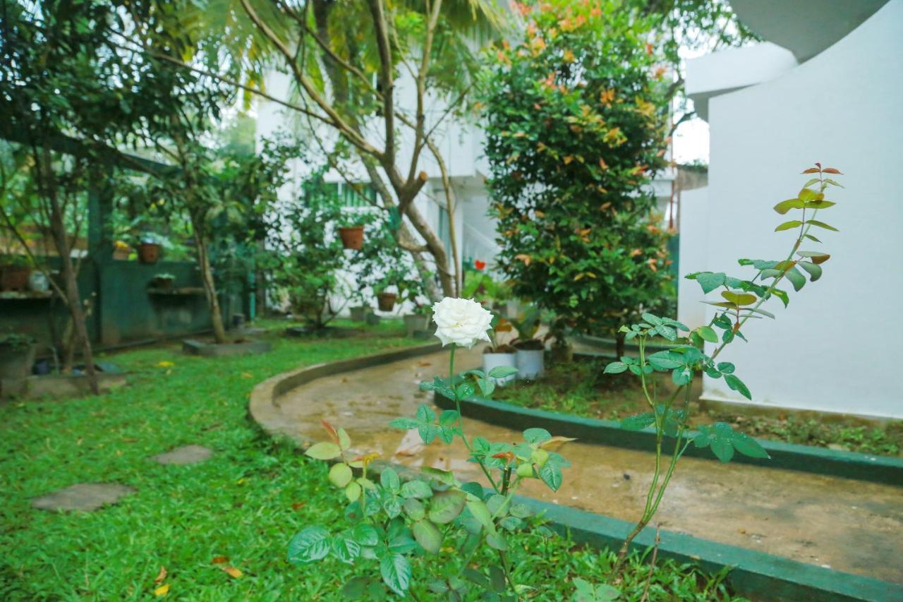 Suwa Arana Resort Mirissa Bagian luar foto
